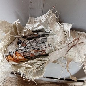 2 Rollos de Alambre de Concertina para Seguridad - imagen 3