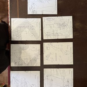Lote de 7 Láminas Ilustradas de Meridianos y Puntos de Acupuntura - imagen 11