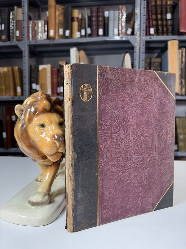 Item 889538 - Image 0