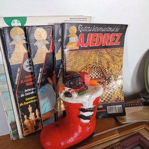 Lote de Adornos, Revistas de Ajedrez y Álbumes de Fotos - imagen 2