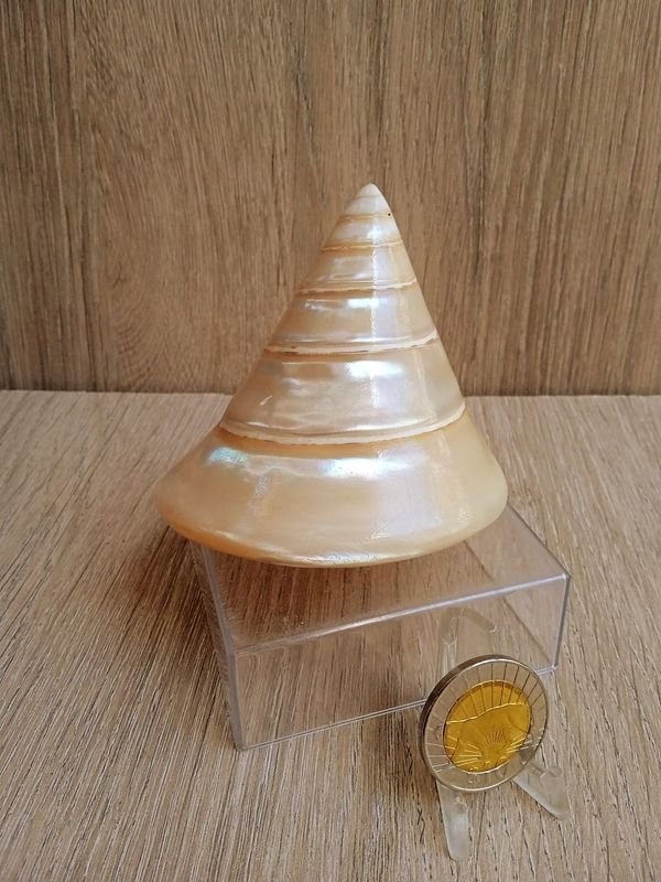 Item 884179 - Image 0