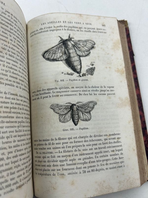 Libros de arte de Mme Millet-Robinet, 7ª edición - imagen 4