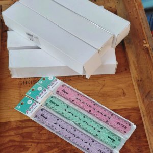 Caja con 24 Reglas Flexibles de 20cm, Marca Flexy Wero - imagen 1
