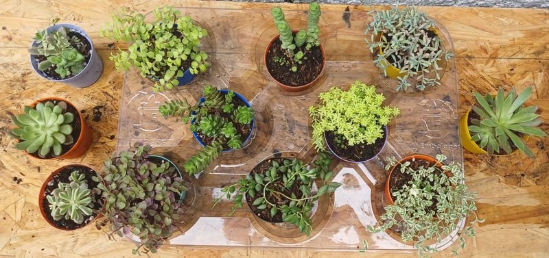 Item 929727 - Image 0