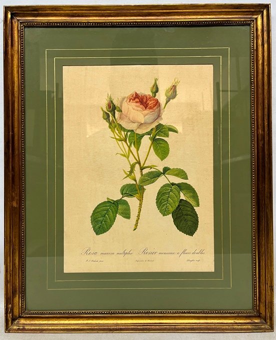 Item 500696 - Image 0