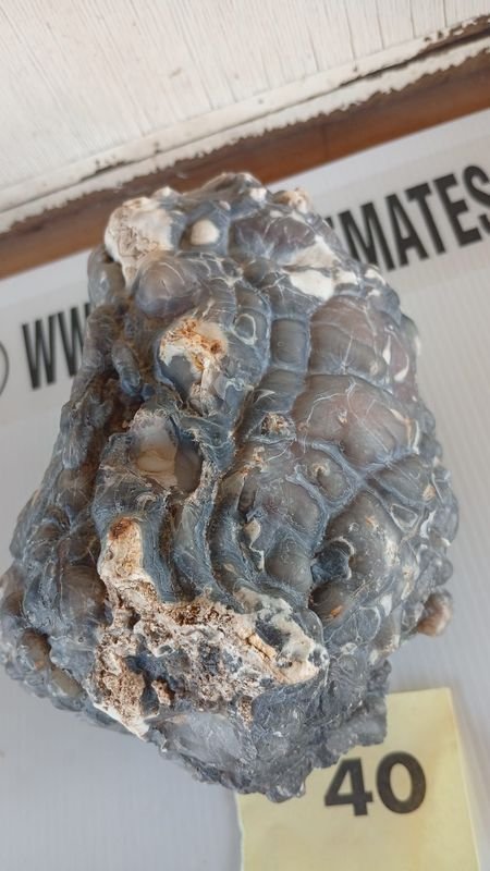 Conchas geológicas con agujeros - imagen 3