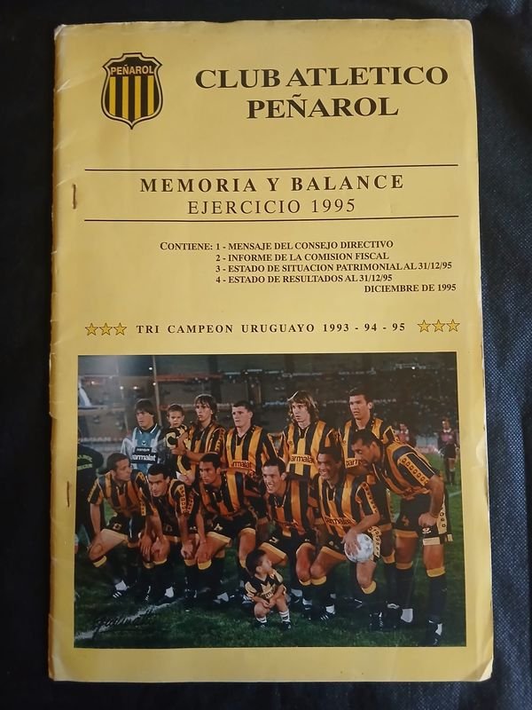 Memoria y Balance Club Atlético Peñarol - Ejercicio 1995 Documento Oficial
