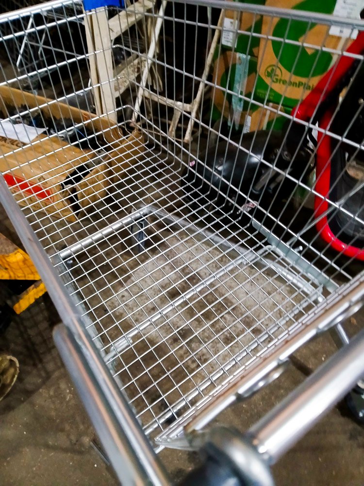 Item 501146 - Image 2