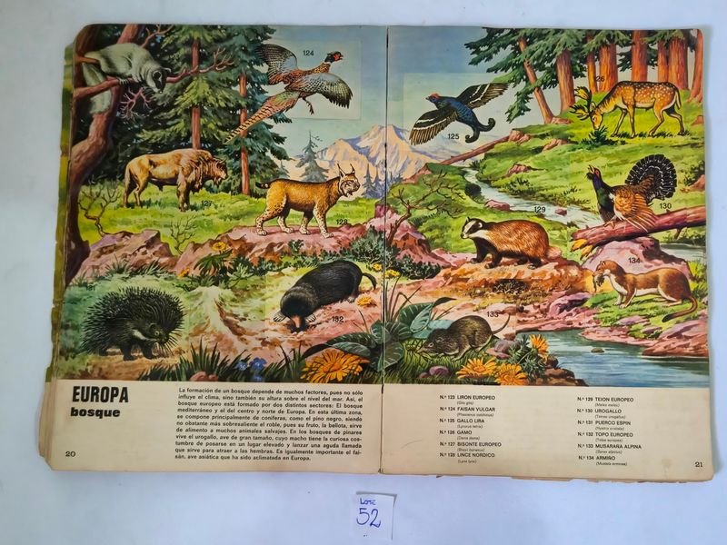 Item 844753 - Image 10