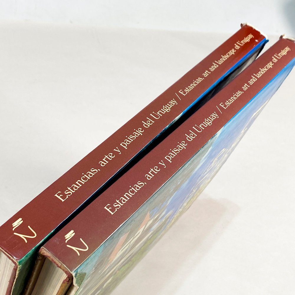 Dos libros sobre Uruguay - imagen 2