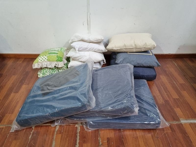 Lote de 13 Almohadones y Almohadas en Varios Colores