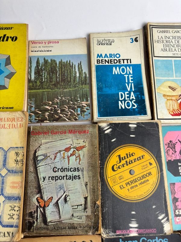 Colección de libros en español de autores latinoamericanos - imagen 6