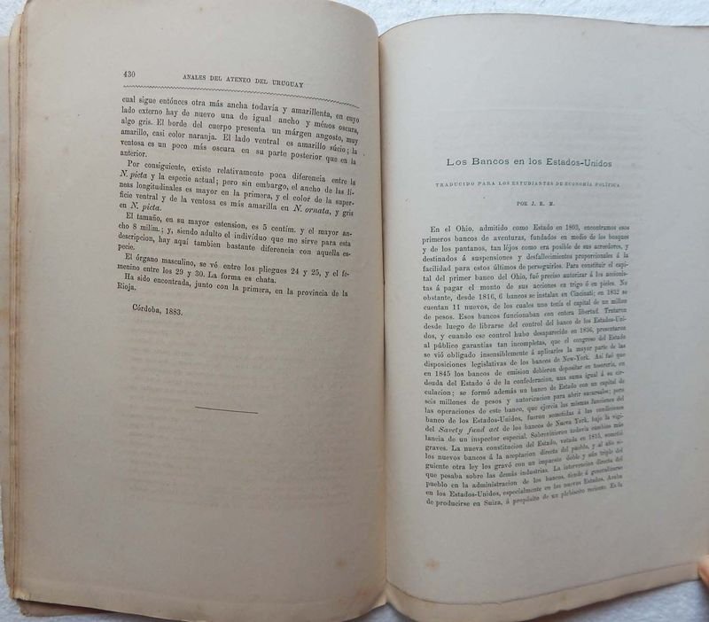 Revista Anales Del Ateneo Del Uruguay, 1883 - imagen 8