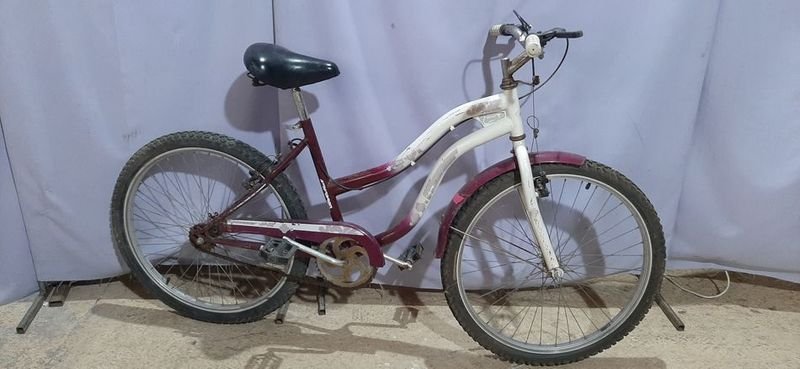Bicicleta de Ciclismo Jazz 20 Pulgadas Violeta y Blanca - imagen 2