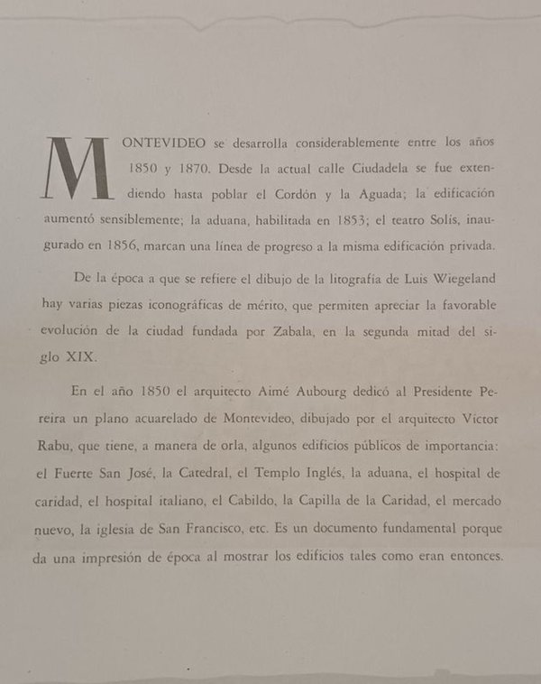 Litografía histórica de Montevideo por L. Wiegeland (1866) - imagen 14