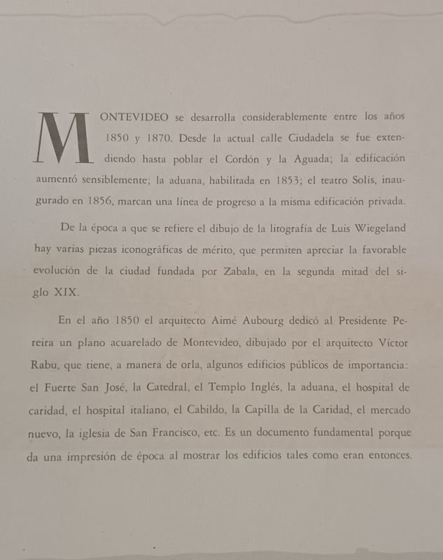 Litografía histórica de Montevideo por L. Wiegeland (1866) - imagen 14