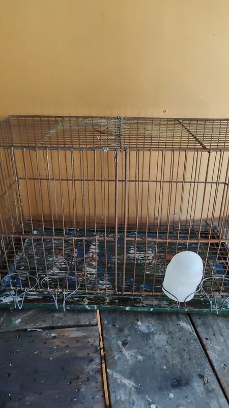 Lotes de Jaulas para Animales - imagen 4