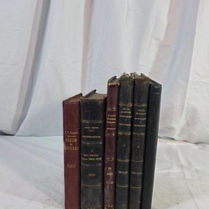 Lote anterior: Lote de 7 Libros Antiguos de Tapa Dura
