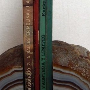 Colección Nuestra Tierra: 5 Libros sobre Fauna, Flora y Sociedad Uruguaya - imagen 3