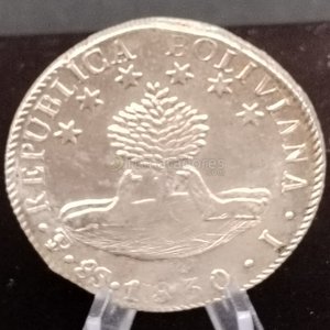 Moneda de Plata "Libertad por la Constitución" República de Bolivia 1870 - imagen 2
