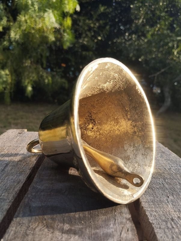 Item 874811 - Image 2