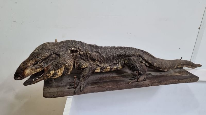 Item 718368 - Image 0