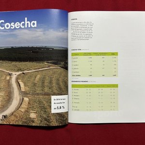 Informe Anual UPM Forestal Oriental 2016 y Libros Agronomía Uruguay - imagen 2