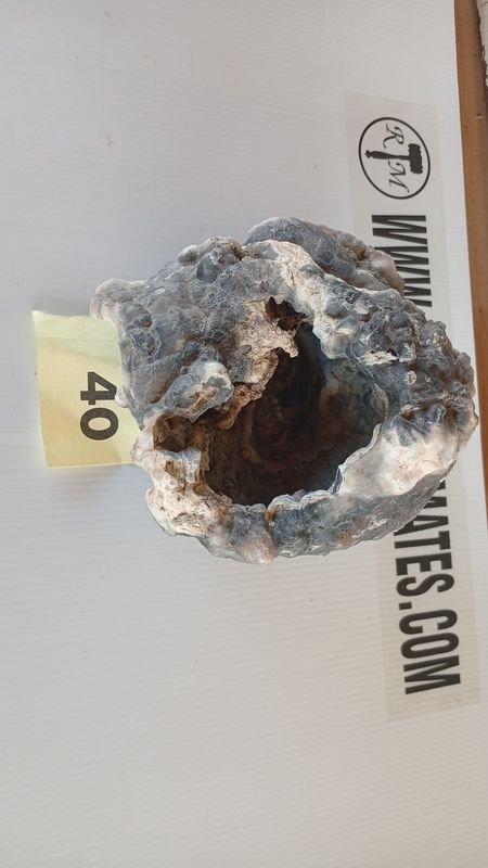 Conchas geológicas con agujeros - imagen 4