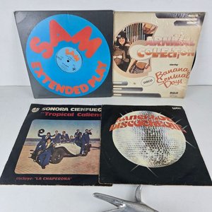 Selección de Vinilos de Música Disco y Tropical - imagen 1