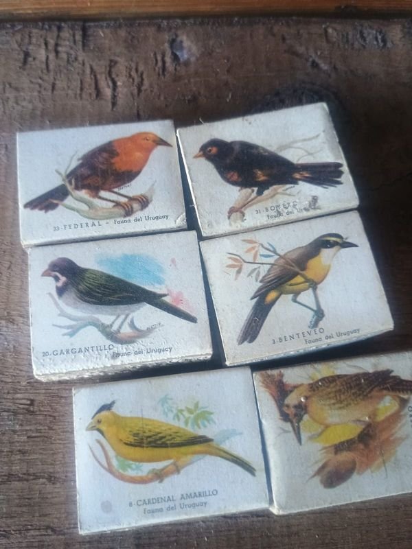 Colección de fósforos Victoria Aves en buen estado - imagen 2
