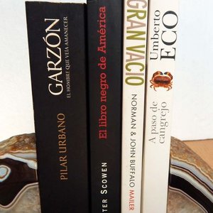 Lote de 4 Libros: El Hombre Que Veía Amanecer, El Libro Negro De América, A Paso De Cangrejo y El Gran Vacío - imagen 3