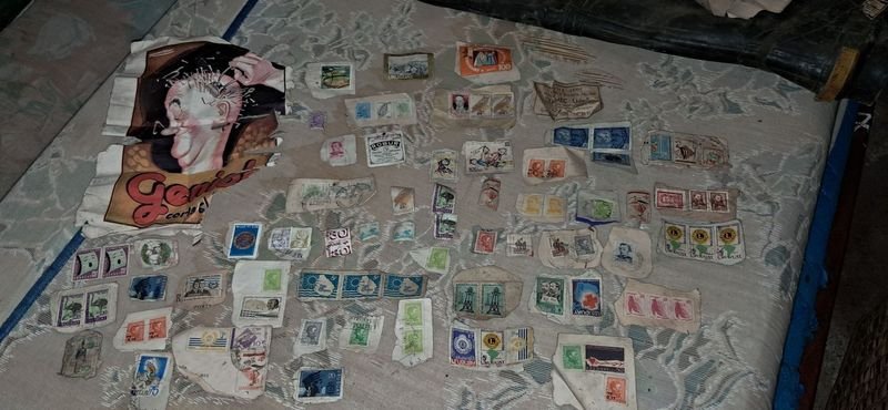 Item 880833 - Image 0