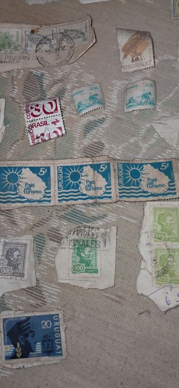 Item 880833 - Image 14