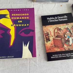 Lote de Libros sobre Derechos Humanos - imagen 5