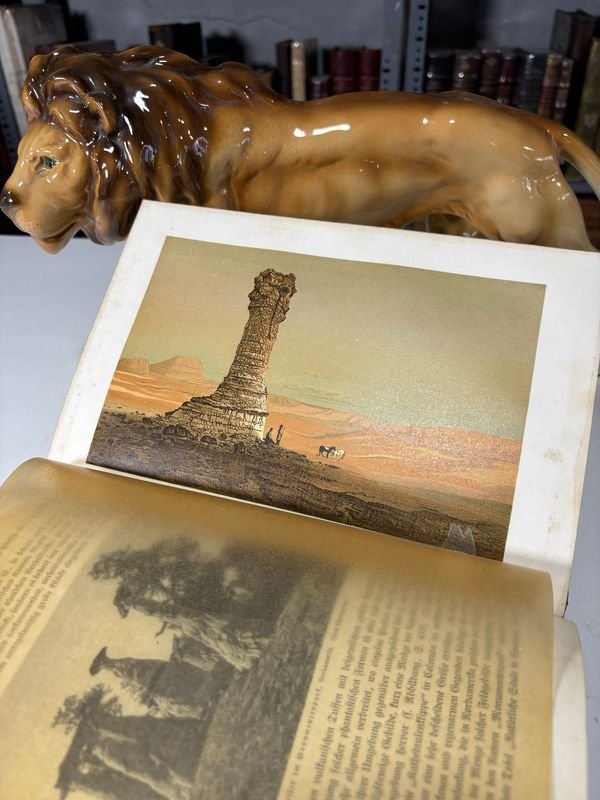 Libro de Historia de la Tierra en Alemán con Figuritas - imagen 5