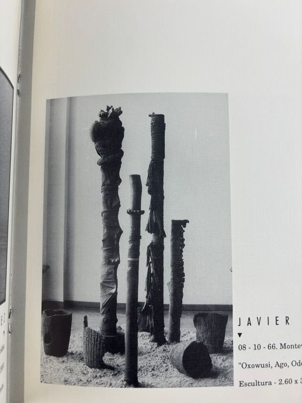 Colección de libros sobre arte y artistas uruguayos contemporáneos - imagen 17