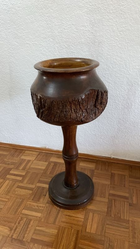 Pieza de madera petrificada rara - imagen 2