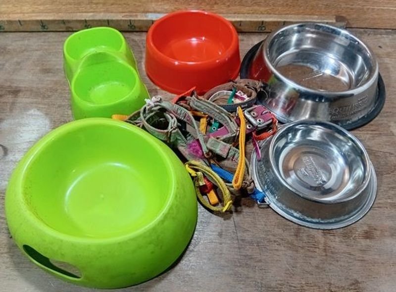 Lote anterior: Comederos y collares para felinos o caninos en buen estado