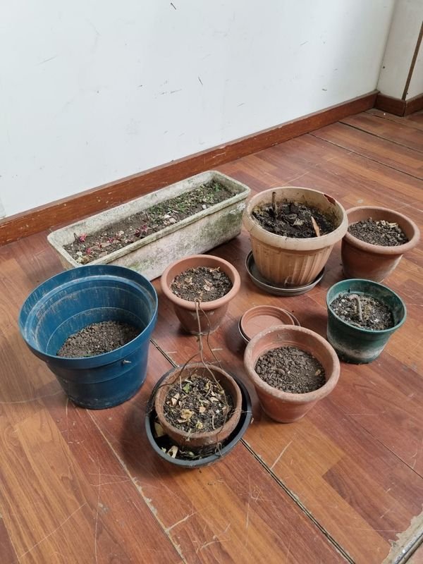 Macetas plásticas y cerámicas para jardinería - imagen 3