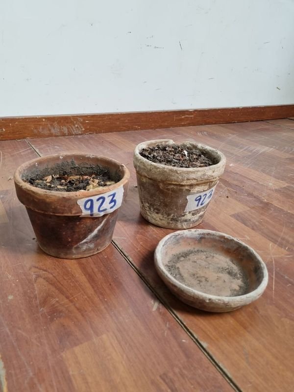 Macetas de barro para decorar el hogar - imagen 2