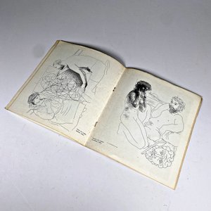 Catálogo de Obras de Picasso - Edición 1973 - imagen 5