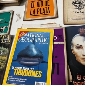 Lote de Más de 70 Libros, Revistas y Varios - imagen 6