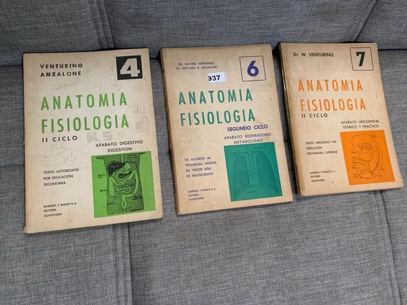 Item 898194 - Image 0