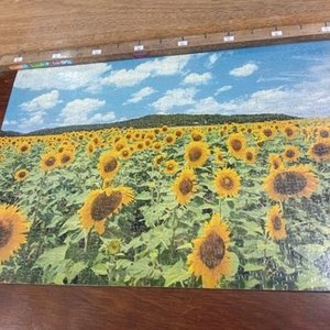 Par de Puzzles Completos Plastificados: Campo de Girasoles y Jardín con Cisnes - imagen 2