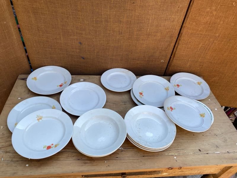 PLATOS VARIOS DE LOZA
