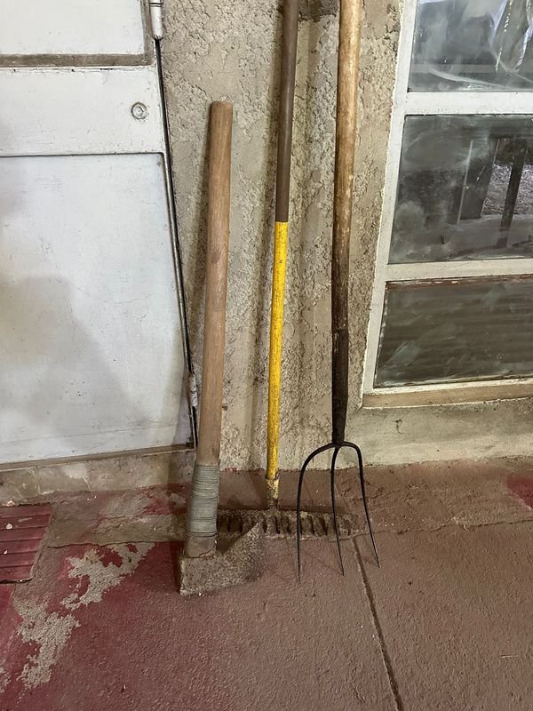 Item 889474 - Image 3