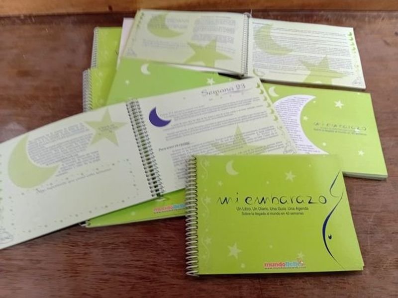 Lotes de agendas para embarazadas - imagen 2