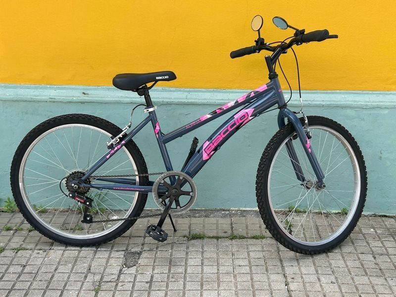 Bicicleta de Paseo Baccio Alpina Rodado 24 Rosado/Morado