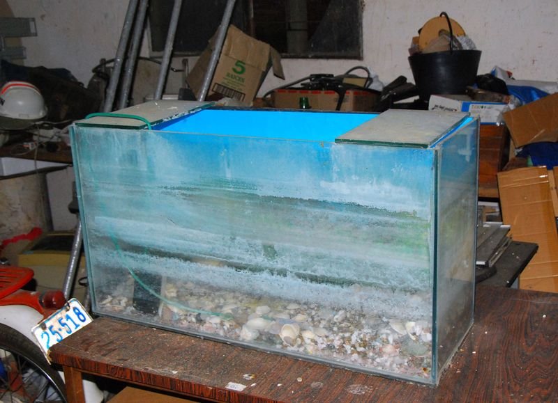 Lote anterior: Tanque de Acuario con Botella de Agua y Caja de Tissues