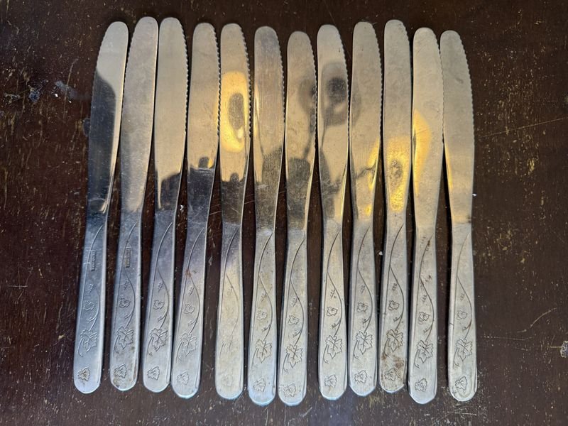 Juego de 11 Cuchillos de Mesa Eiko Inox con Diseño de Hojas